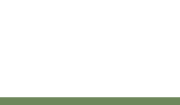 Leisch Consulting | IT-Solutions